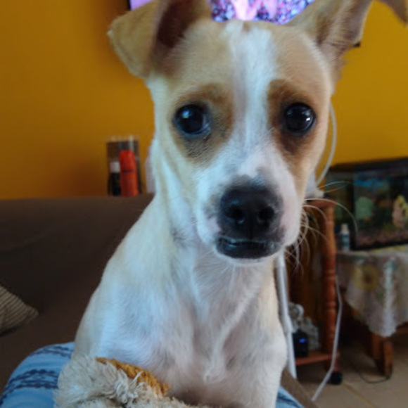 Meet your Posher, Ruth - Picture 1 of 1